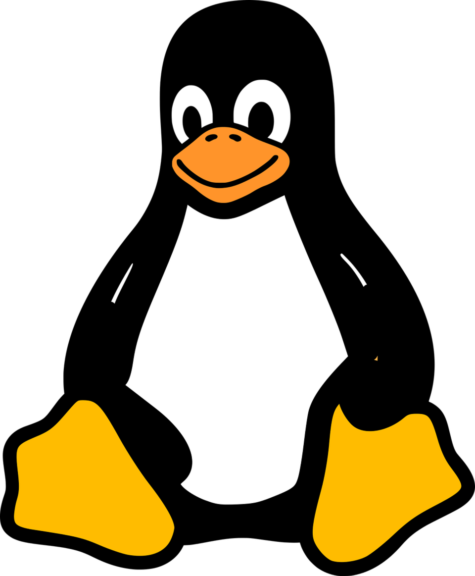 Tux the Linux mascot